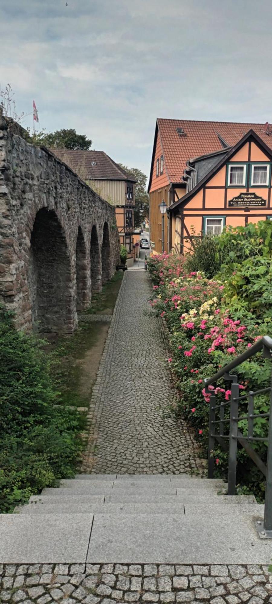 Spatzennest Appartement Wernigerode Buitenkant foto